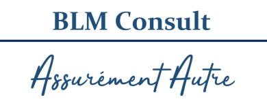 Logo BLM Consult